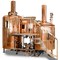 500L personalizado Red Copper Turnkey Equipamento Microbrewery Venda