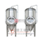10bbl Stainless Steel Craft Beer Fermentação Vessel / Unitank com revestimento de arrefecimento Venda