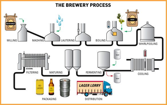o processo de fabrica&ccedil;&atilde;o de cerveja