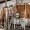 1500L industrial comercial de alta qualidade Sistema Brewing Beer Venda
