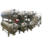 10BBL Duplas Dimple Jacket Beer Brilhante Tanque / cerveja Tanque para Pub