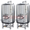 5BBL Micro Turnkey personalizado Beer Brewing Equipamentos para Venda