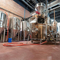 500L personalizado Red Copper Turnkey Equipamento Microbrewery Venda