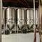 5HL Automated personalizado Pub Craft Beer Brewery Equipamentos para Venda