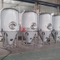 Equipamento de cervejaria artesanal 10HL de aço inoxidável e exterior com máquina de fabricação de cerveja automática comercial de cobre vermelha para venda