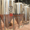 5bbl / 10bbl mash / lauter tun & brewkettle / whirlpool tun personalizado