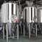 1000L SS Automatic Craft Beer Equipment Turnkey Brewery Fabricante em estoque