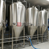 1000L Equipamento de Fabricação de Cerveja Turnkey com Isolamento Duplo de Aquecimento a Vapor Gravidade Cerveja Planta Completa